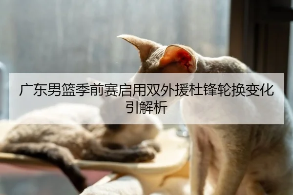广东男篮季前赛启用双外援杜锋轮换变化引解析